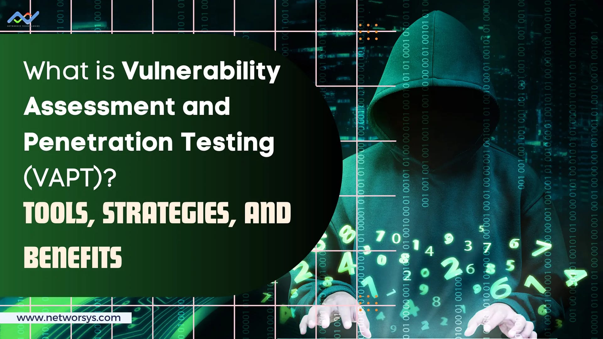 What is Vulnerability Assessment and Penetration Testing (VAPT)